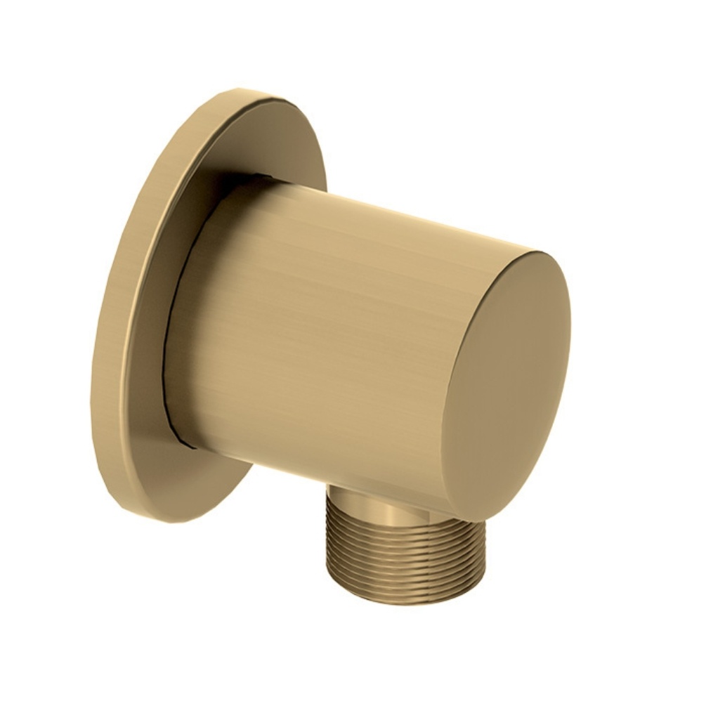 Product cut out image of the Abacus Emotion Brushed Brass Round Wall Outlet